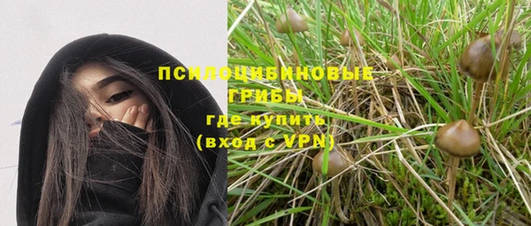 СК Кулебаки