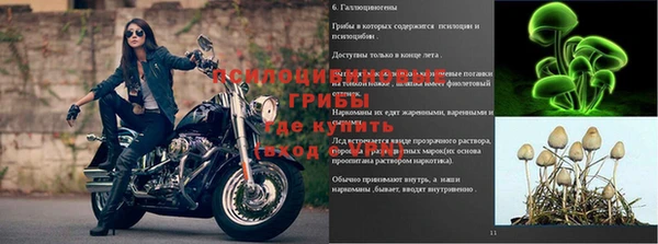 apvp Лабытнанги