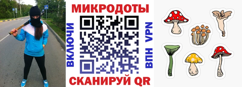 Псилоцибиновые грибы прущие грибы  Темрюк 