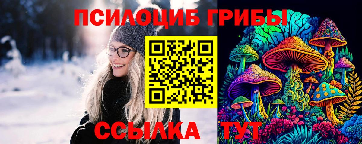 Псилоцибиновые грибы Psilocybe  Вход с VPN  Галлюциногенные грибы Cubensis  Темрюк 