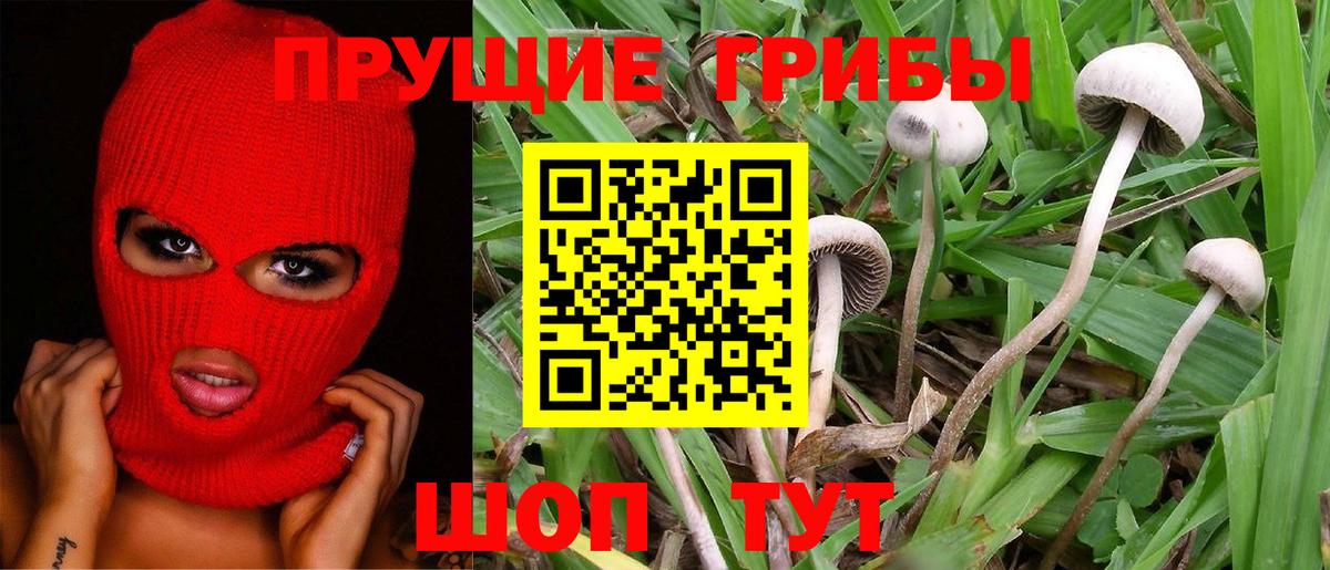 Псилоцибиновые грибы MAGIC MUSHROOMS Темрюк