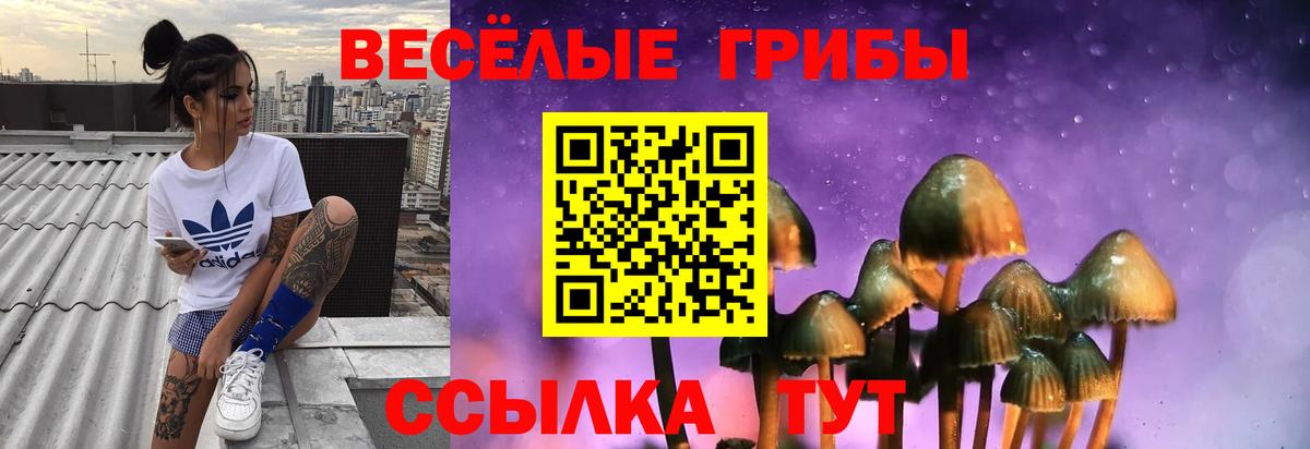 Псилоцибиновые грибы прущие грибы  Темрюк 